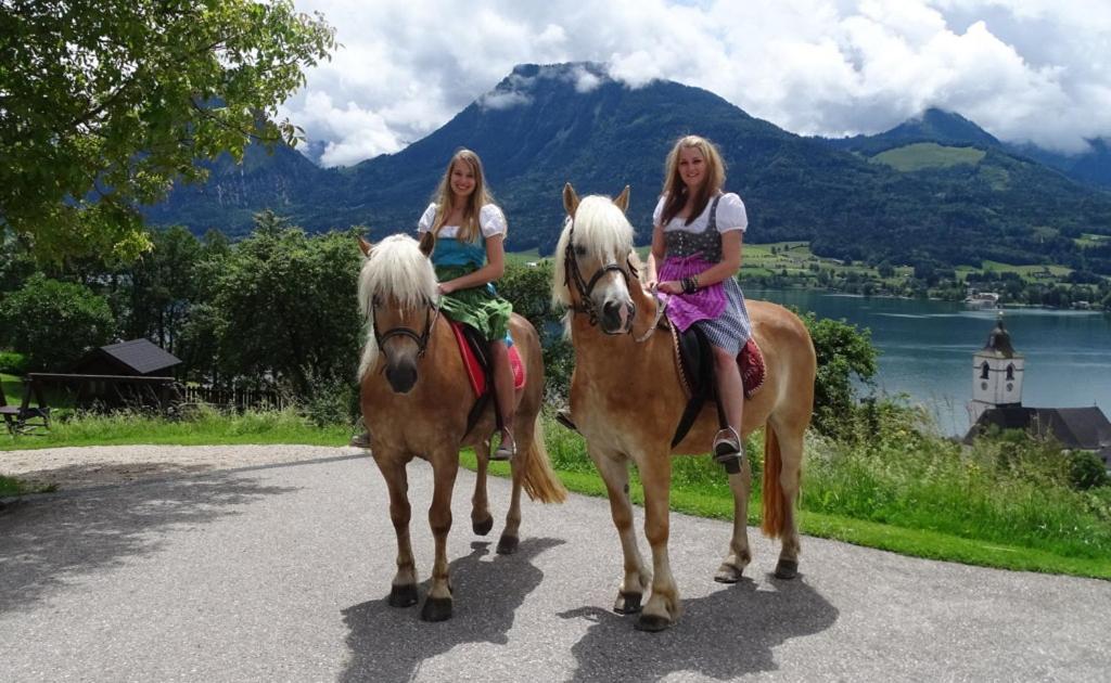 Вилла Altroiterhof Sankt Wolfgang im Salzkammergut Экстерьер фото